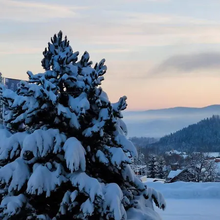 Vendégház Oro Cavallo
