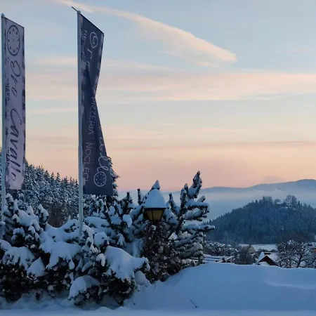 Pensjonat Oro Cavallo