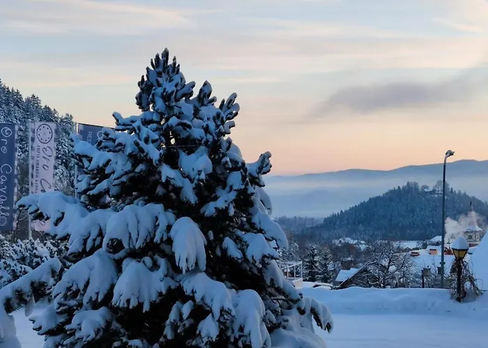 Гостевой дом Oro Cavallo